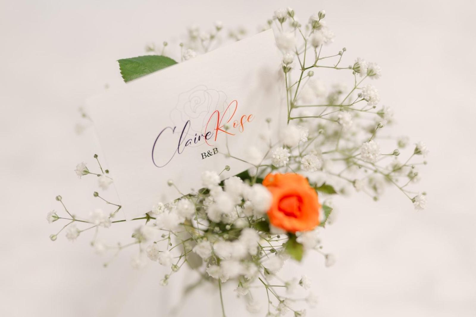 Claire Rose B&B Матера Екстер'єр фото